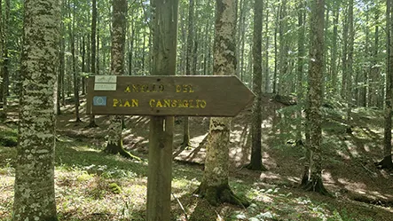 Antico Troi dei Cimbri